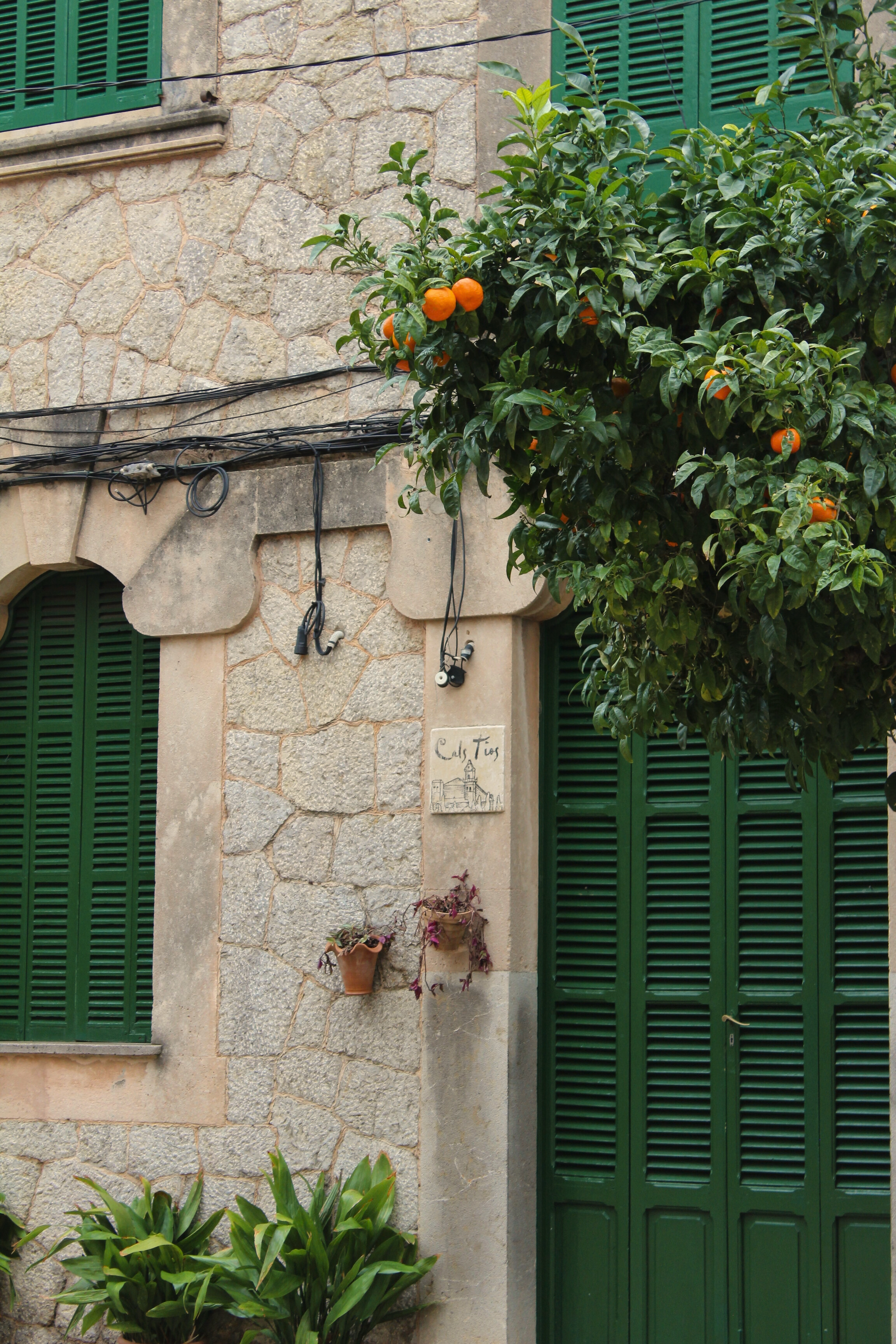 Alina Klemm Moodbild Mallorca